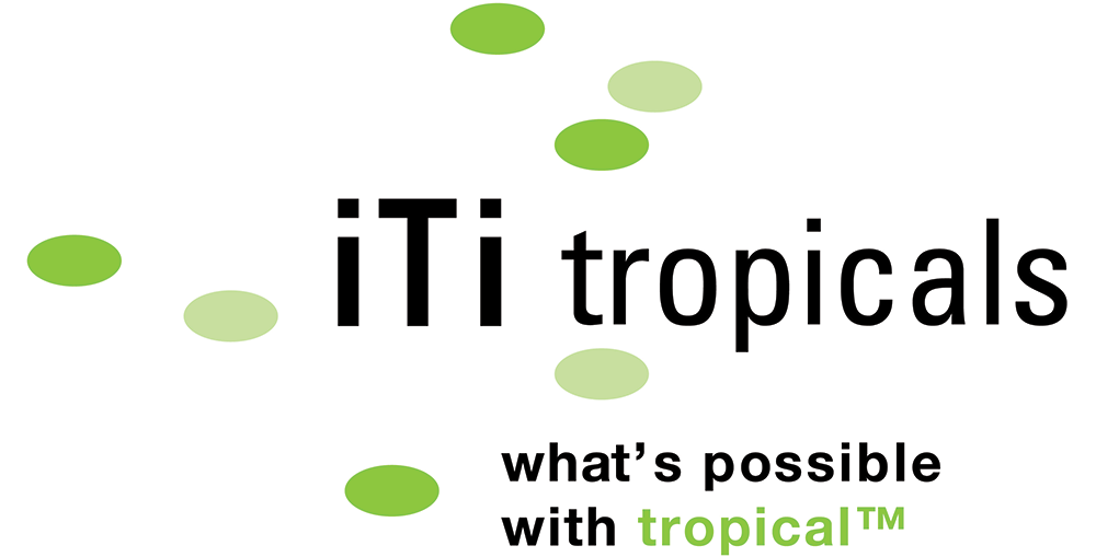 iTi Tropicals: Tropical Fruit Ingredients Supplier for Beverage Production