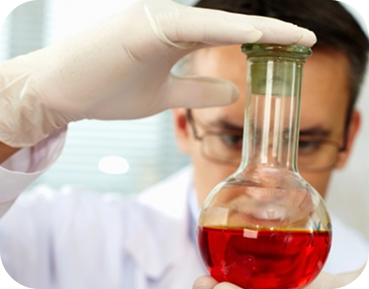 Beverage Development