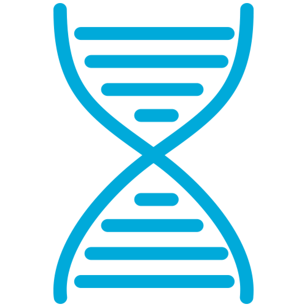 Protein Beverage Development