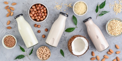 Beyond the Gym: How Plant Protein Beverages Are Expanding Into New Categories
