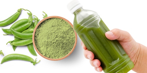 Functional Magic: How Pea Protein Transforms Beverage Applications