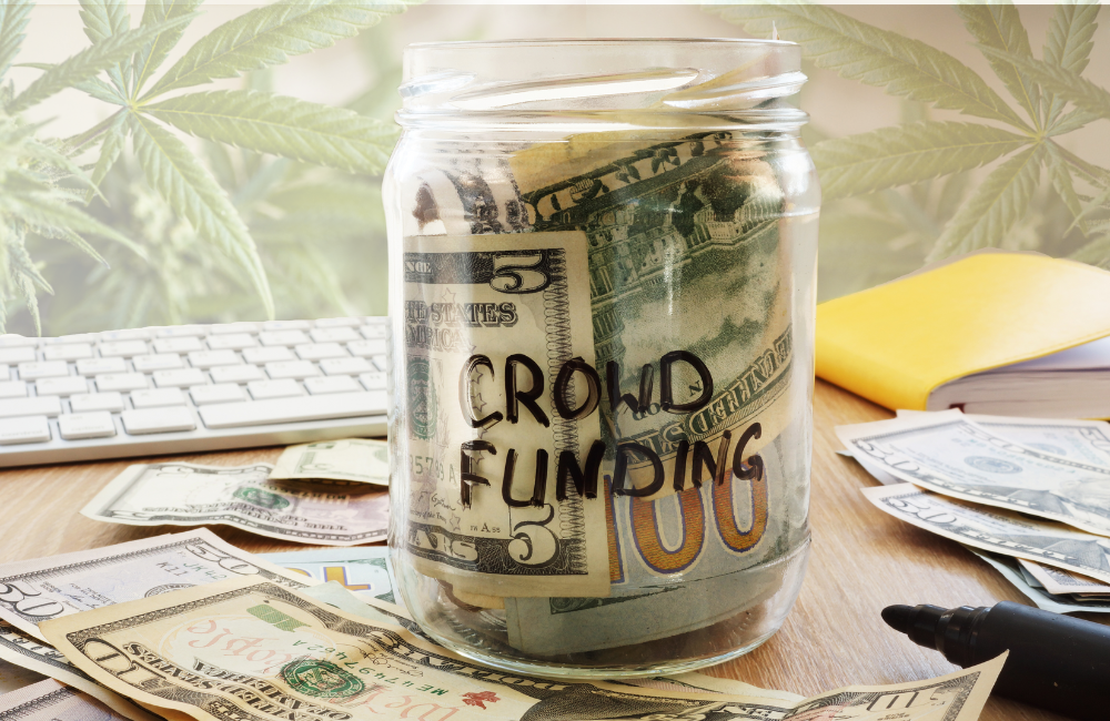 CBD Equity Crowdfunding Cannabinoid Beverage