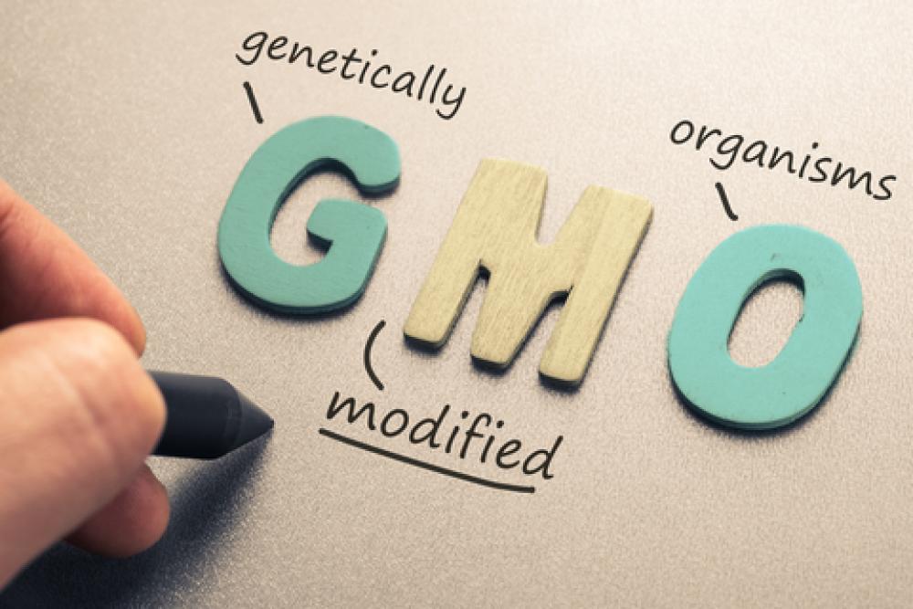 GMO Genetically Modified Organism Beverage Labeling