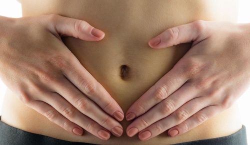 Digestive Health Probiotics Prebiotics