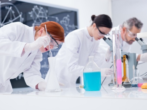 experienced beverage formulators food scientists