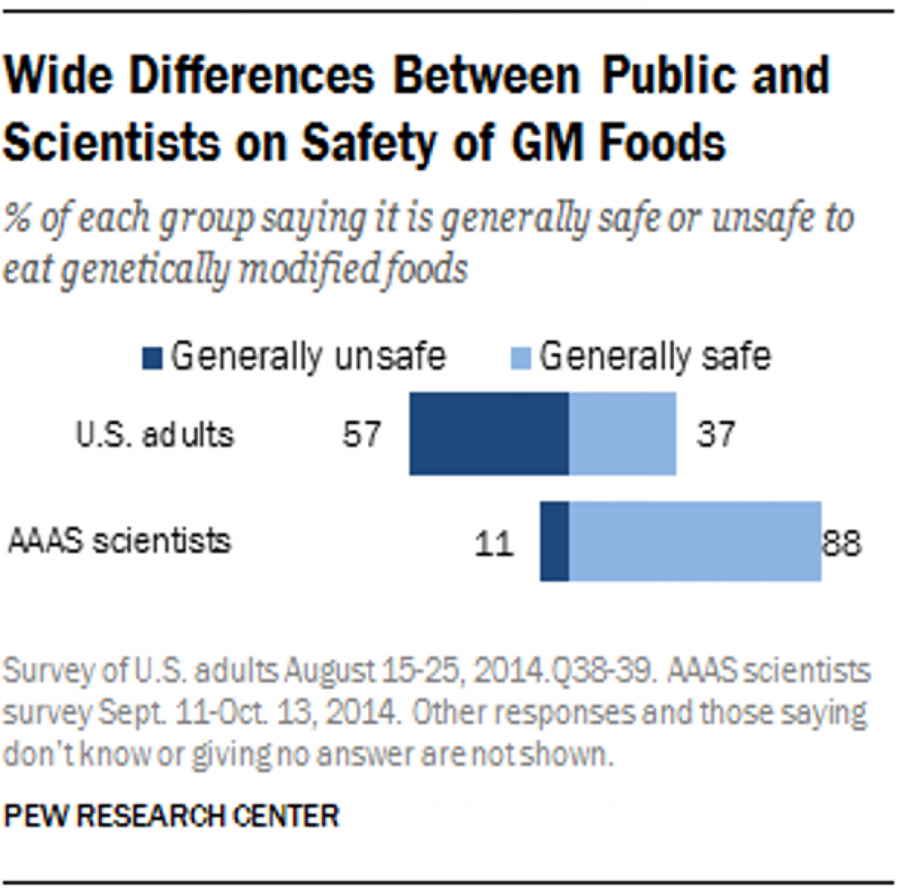 GM Food Safety Public & Scientist Opinion 