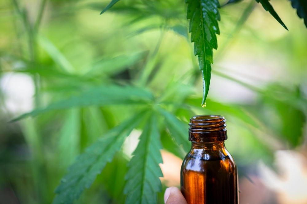 5 Ways a CBD Supplier Can Give Your Beverage Brand a Boost