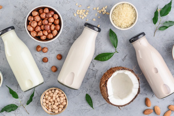 Beyond the Gym: How Plant Protein Beverages Are Expanding Into New Categories