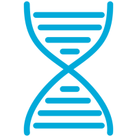 Protein Beverage Development