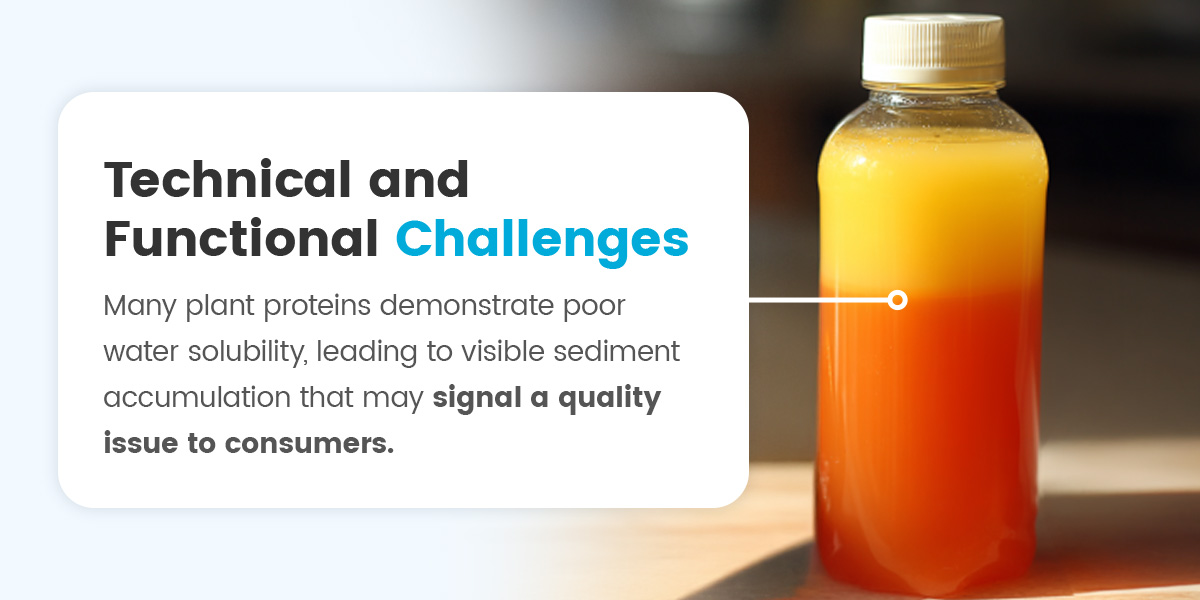 Technical and Functional Challenges